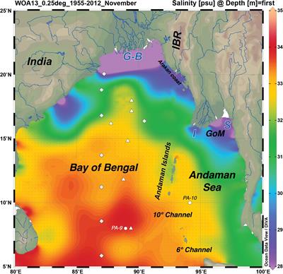 Rare Earth Elements in Andaman Island Surface Seawater: Geochemical Tracers for the Monsoon?